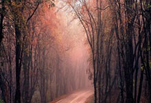 C7娱乐体育：[图]段刘愚破门阿齐兹闪击 青岛西海岸2-0武汉三镇.