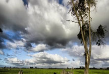 C7娱乐体育：[图]段刘愚破门阿齐兹闪击 青岛西海岸2-0武汉三镇.