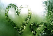 C7娱乐体育：[CBA]吉伦沃特送出妙传 莫兰德接球单手劈扣.