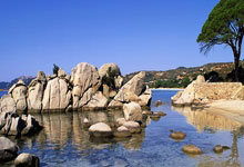 [CBA]北控主场冲击连胜 山东残阵背水一战.